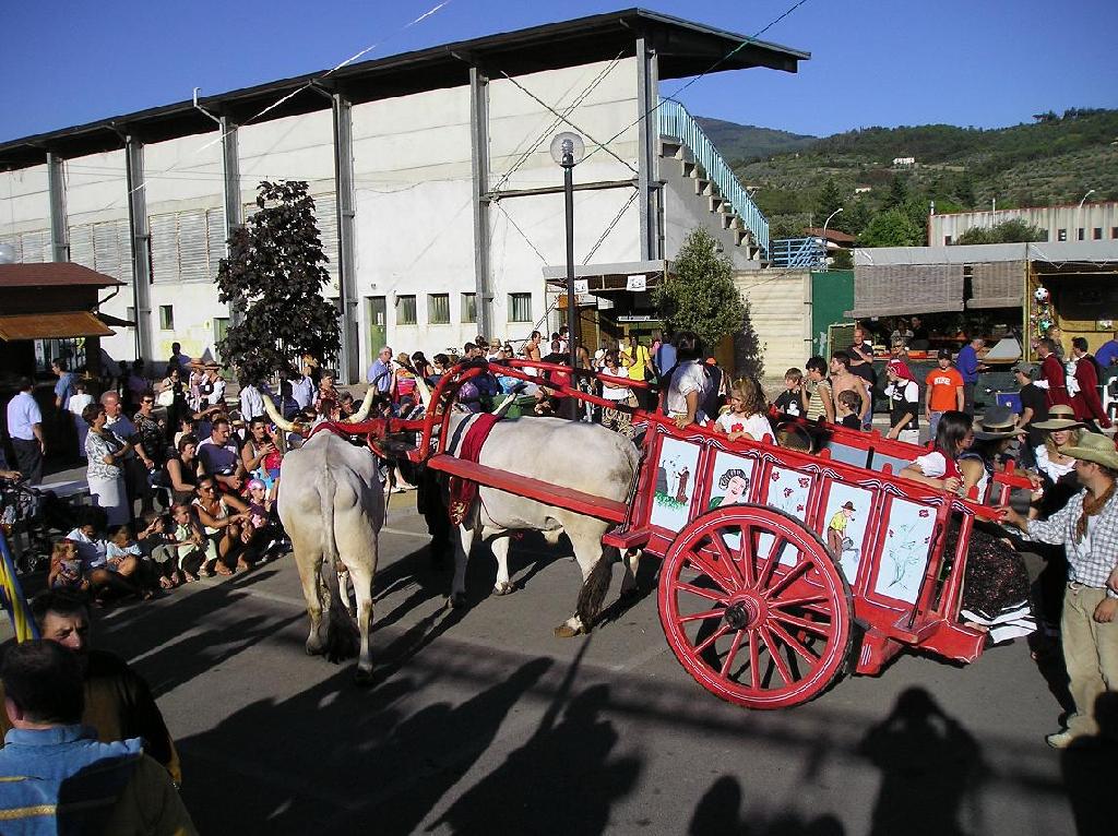 FestaUva (8).jpg